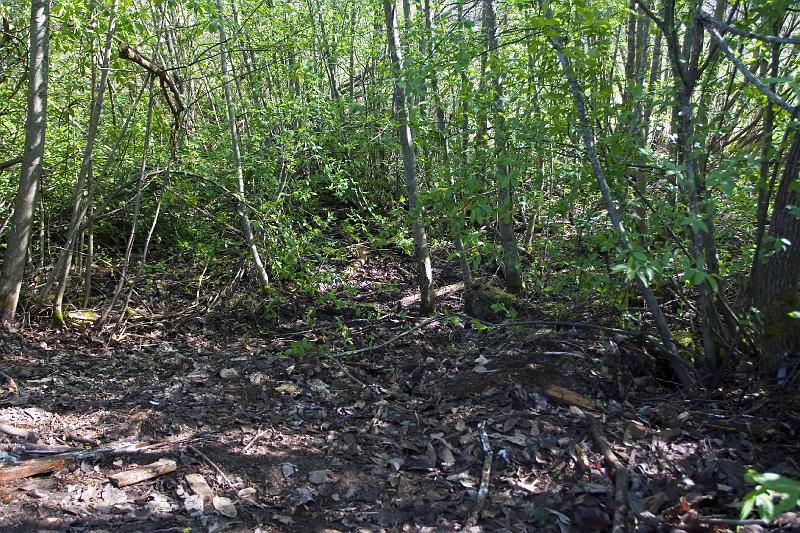 koht peale koristust.jpg